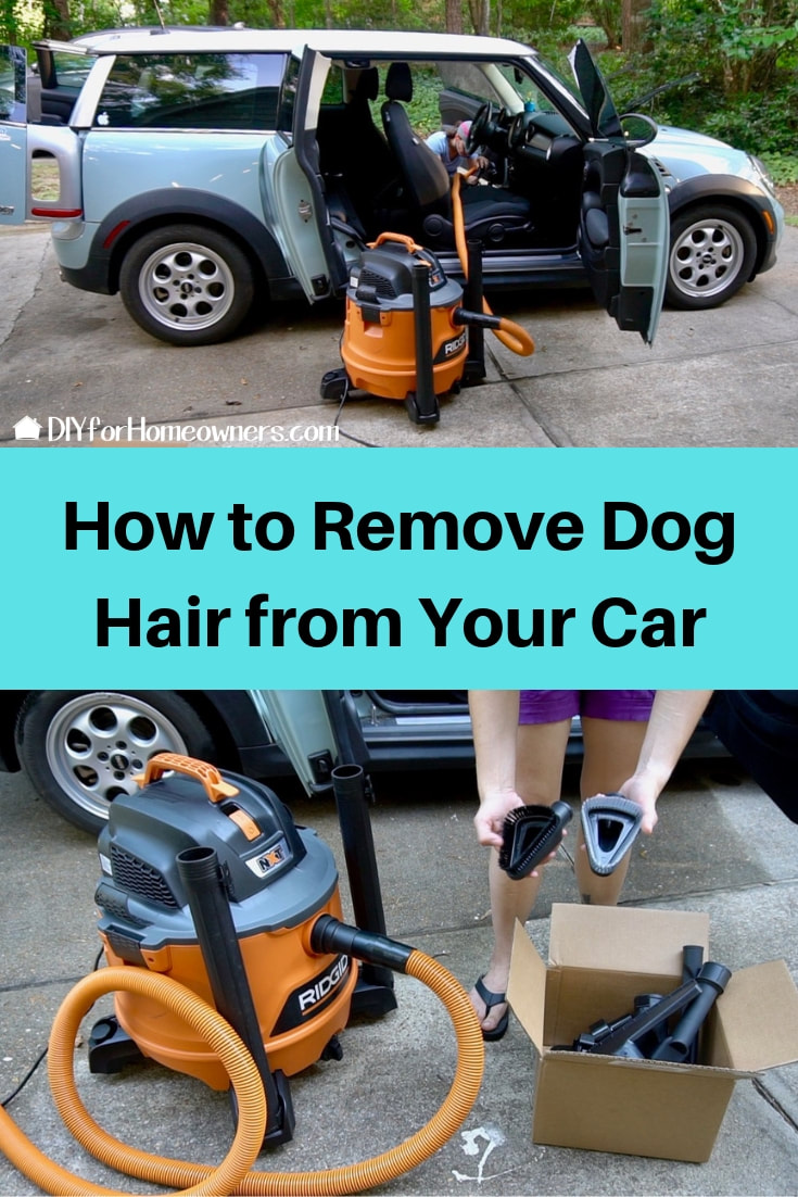 Pinterest pin how to remove dog hair from your car.