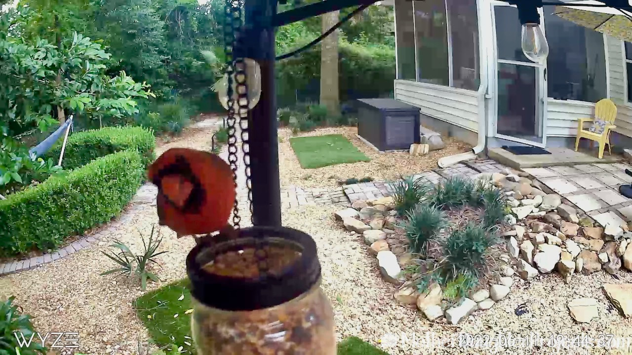 The simple dollar tree bird feeder attracts the cardinals to the yard.