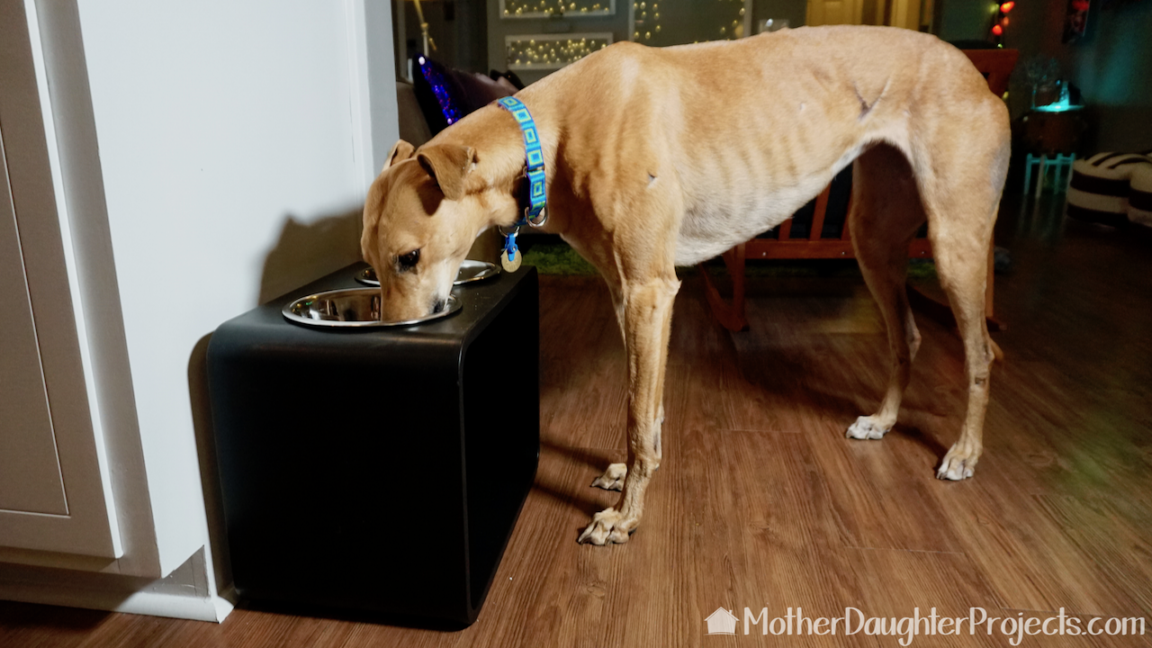 Single Raised Dog Feeder/waterer/elevated Feeding -   Raised dog bowls  diy, Elevated dog bowls diy, Raised dog feeder