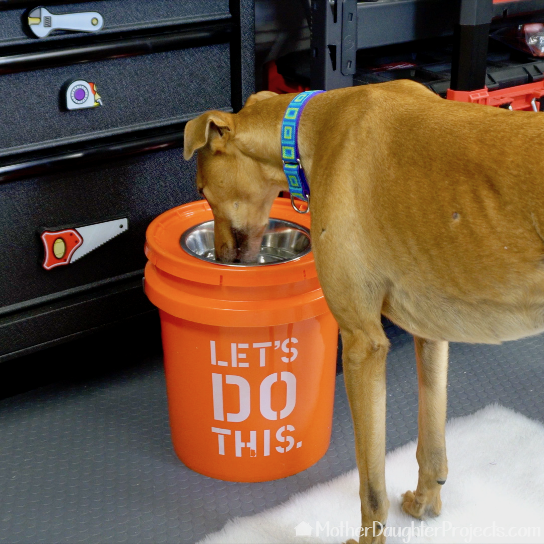 Home Depot bucket elevated dog bowl.