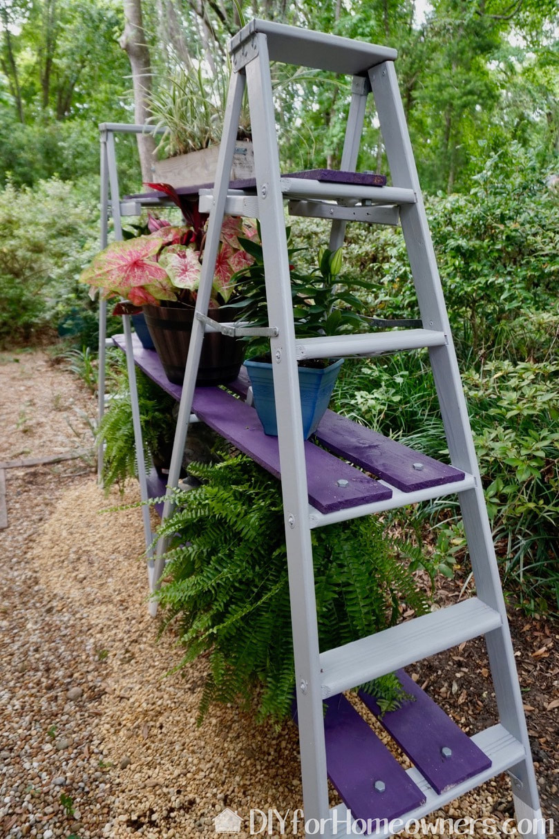Pretty picture of the a-frame ladder shelf with all the plants in place.
