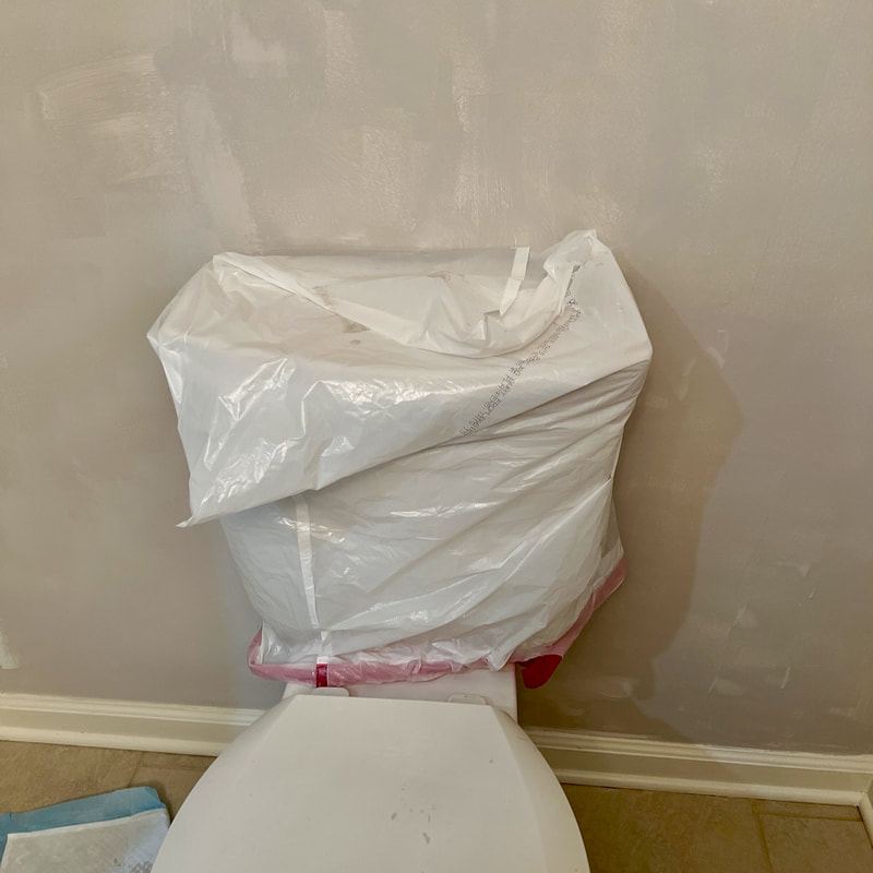 Bathroom painting hack, put a plastic bag over the toile to keep from getting paint on it. 