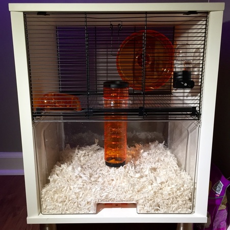 Qute Hamster Cage Assembled. MotherDaughterProjects.com