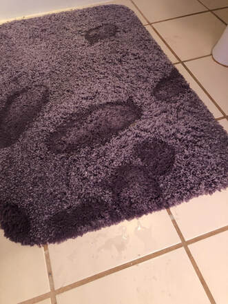 Seeing the wet bathroom mat indicated that there was a water leak.
