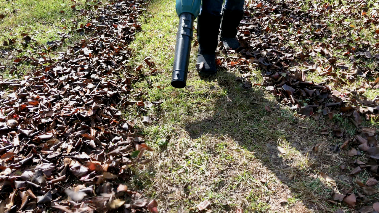 Video review of the 36 volt leaf blower from Makita. 