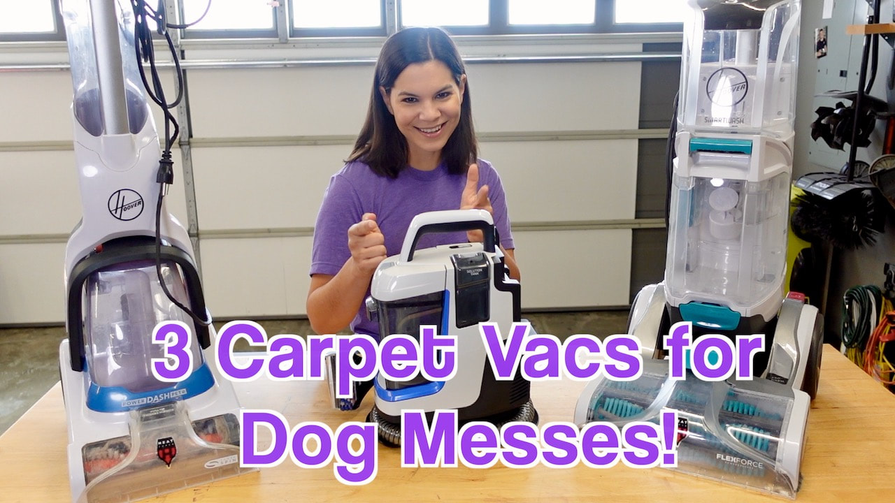 Here are three Hoover carpet cleaners for taking car of pet messes. 