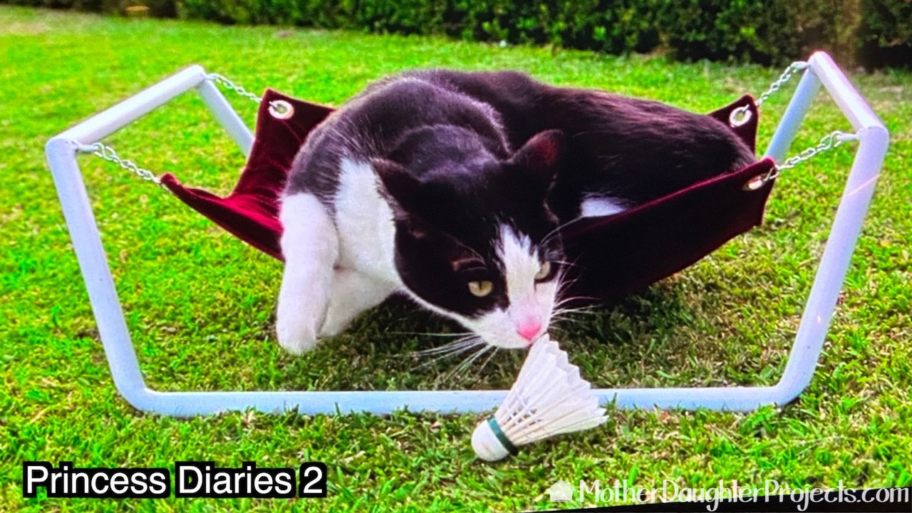 The cat in Princess Diaries 2.