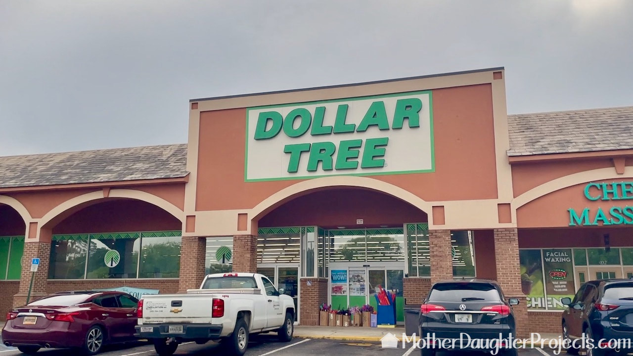 Shopping at the Dollar Tree for the bird feeding supplies. 