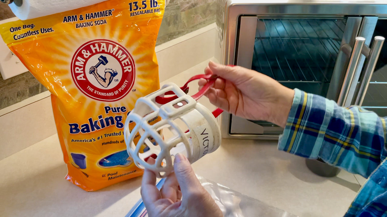 Cleaning the greyhound muzzles with Arm & Hammer baking soda.