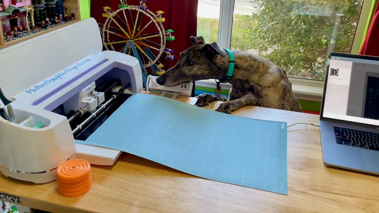 The greyhound jumped up on the table to see what the noise was from the Cricut Maker.