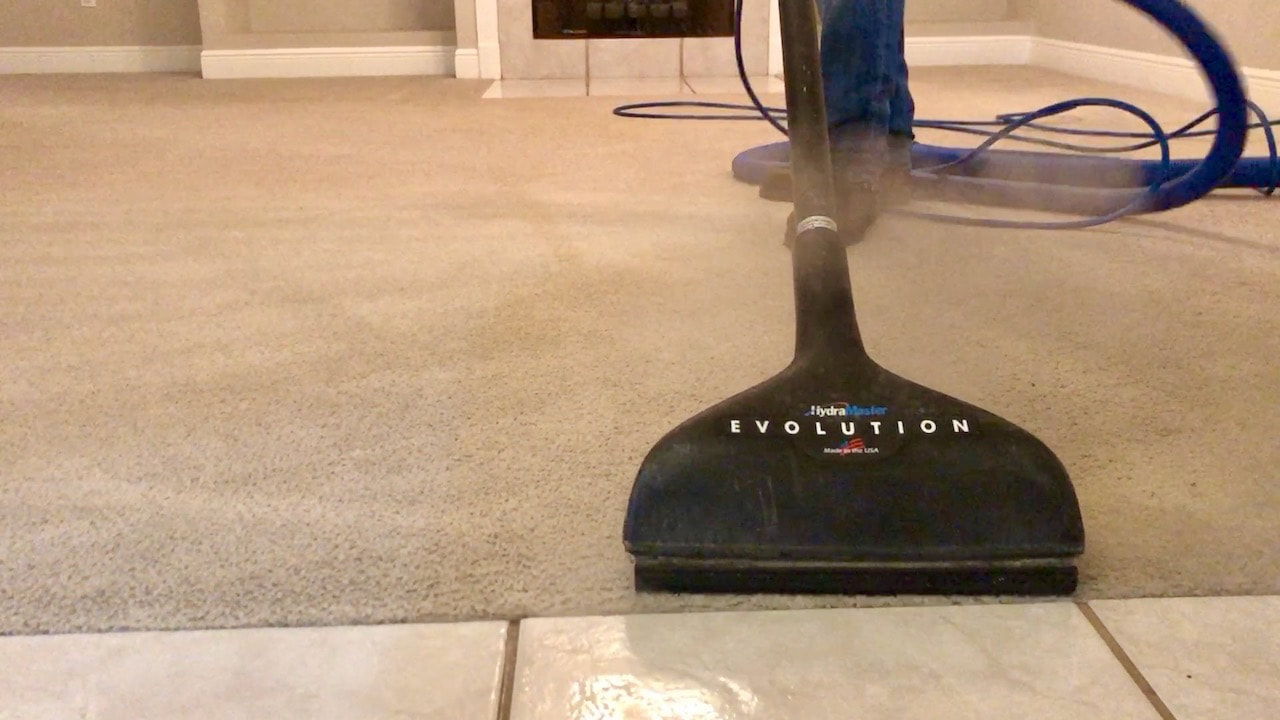 Professional carpet cleaners can clean tile as well. 
