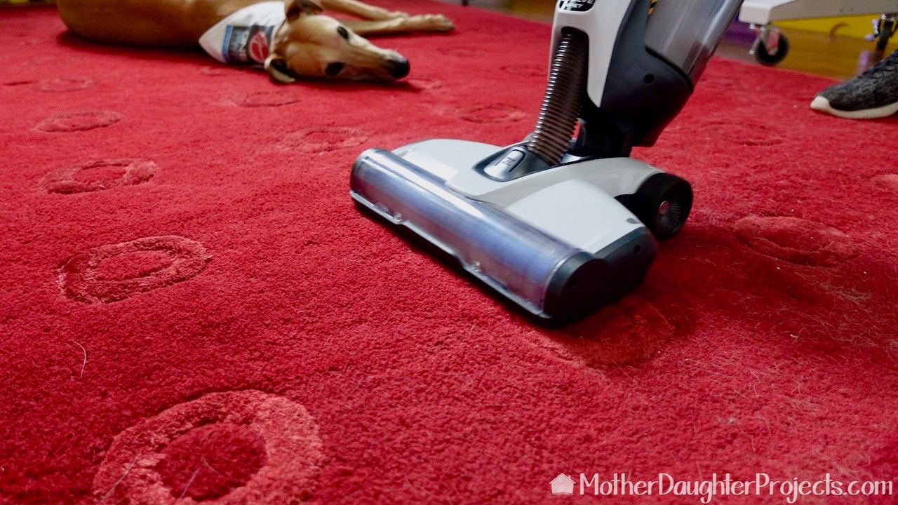 The Hoover ONEPWR Evolve totally worked to removed the dog hair as well as the wool that constantly sheds from this rug.