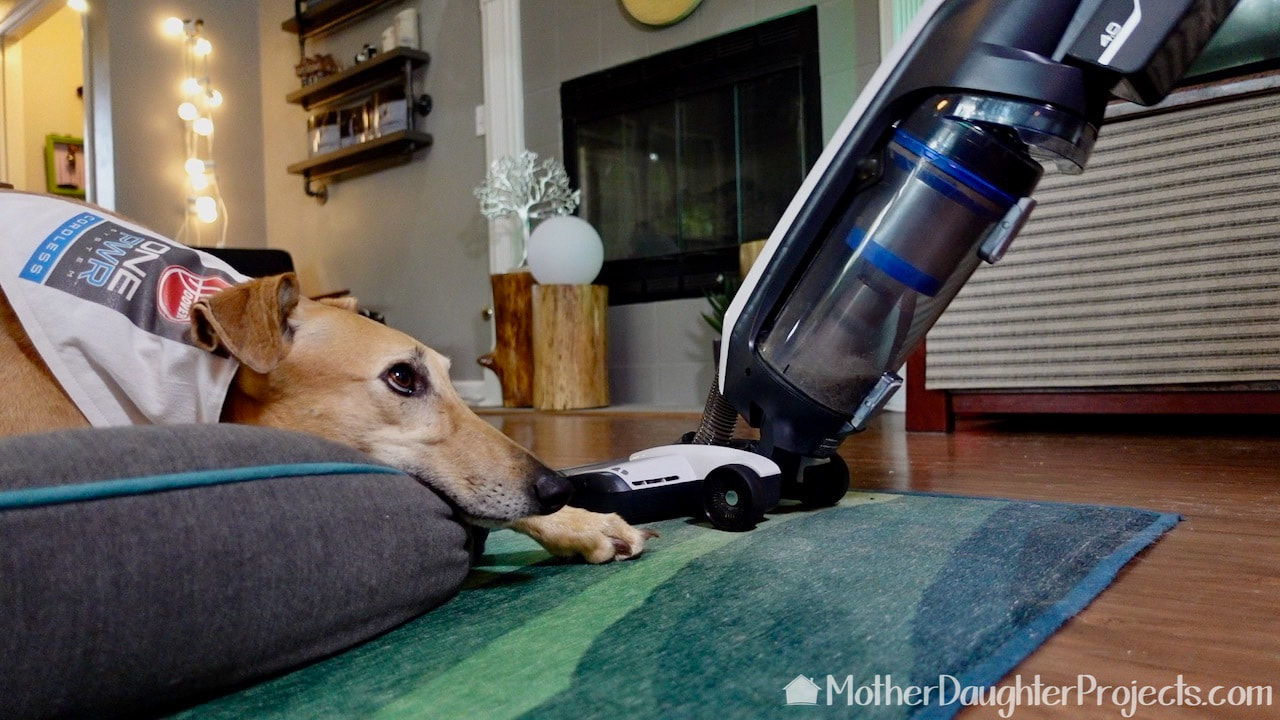 The Hoover ONEPWR Evolve does not bother the dog.