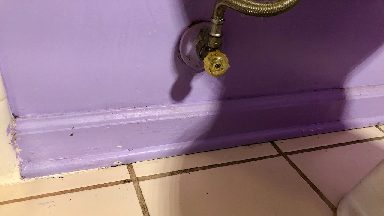 The source of the leak was the water connection to the toilet.