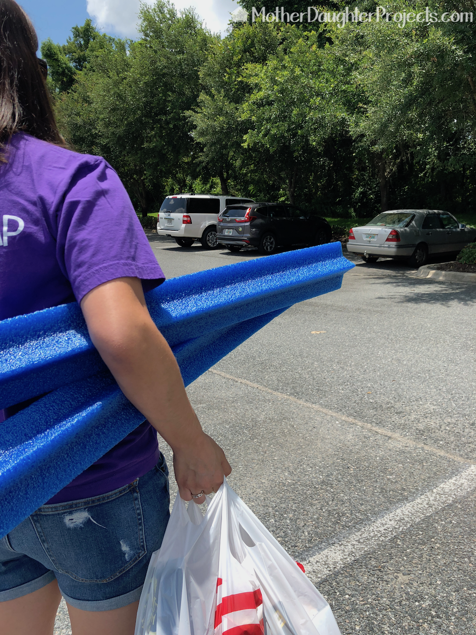 We purchased two blue pool noodles. 