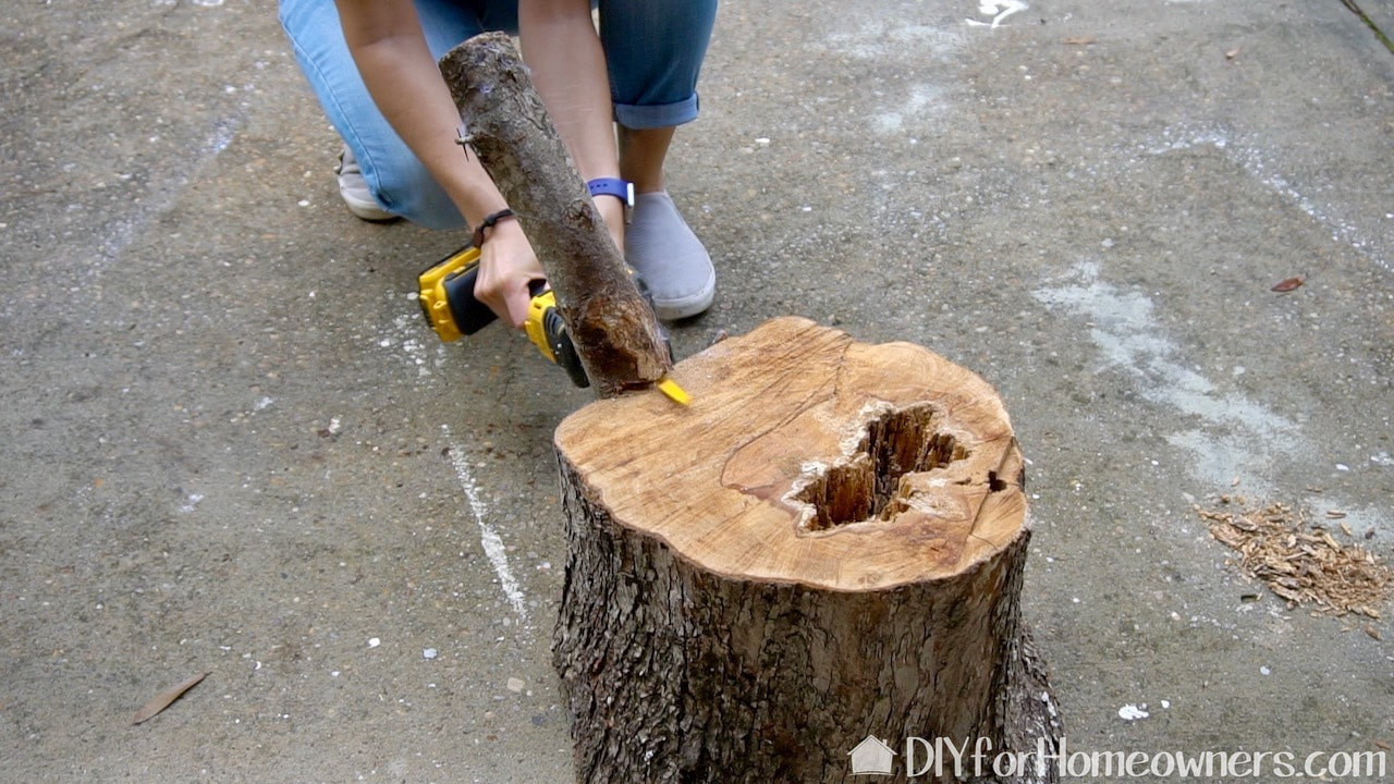 This stump had a random branch on it which we removed with the DeWalt Atomic One-Handed Recip saw. 