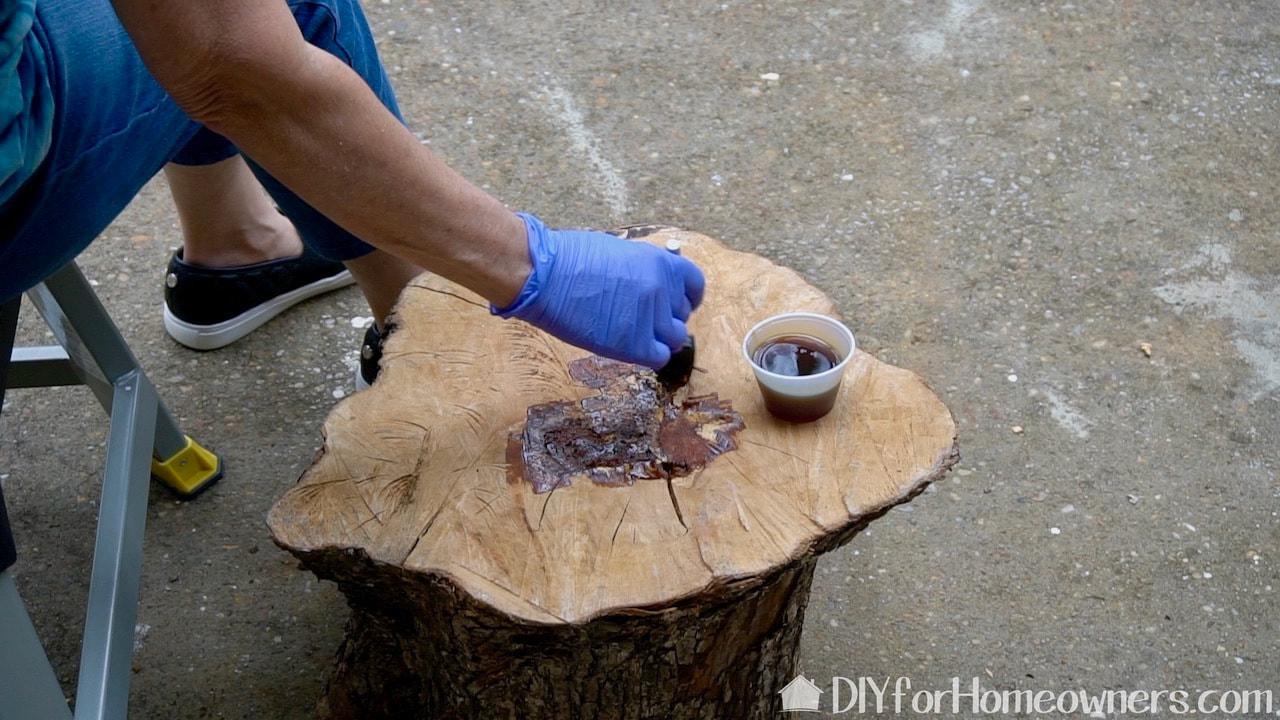Sealing the bottom and top of the stump.