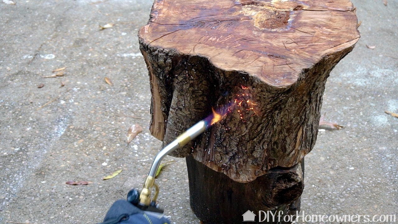 'm using the Bernzomatic Premium Torch Kit to give the stump a good char. 