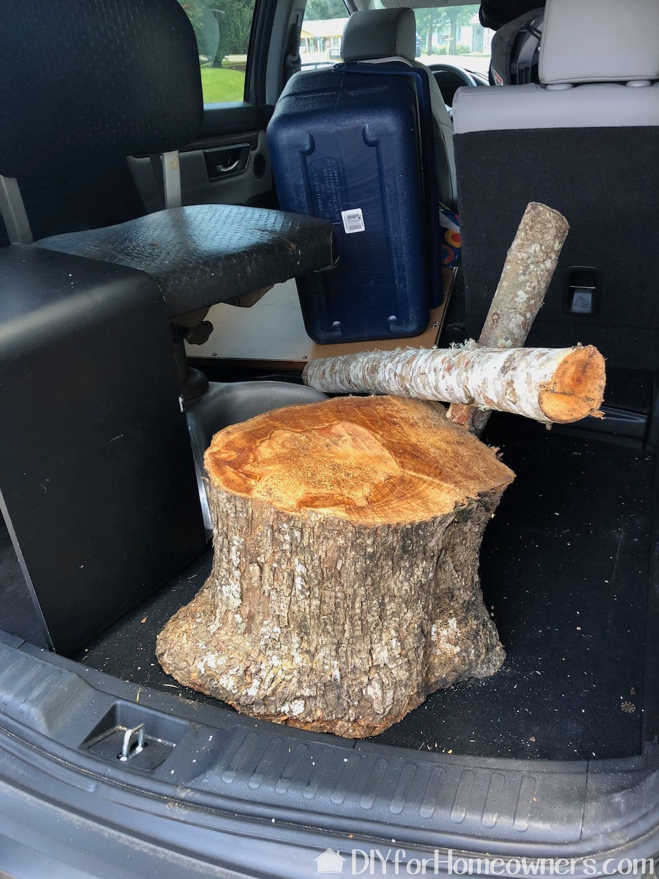 We found this stump curbside from a tip from our UPS driver.