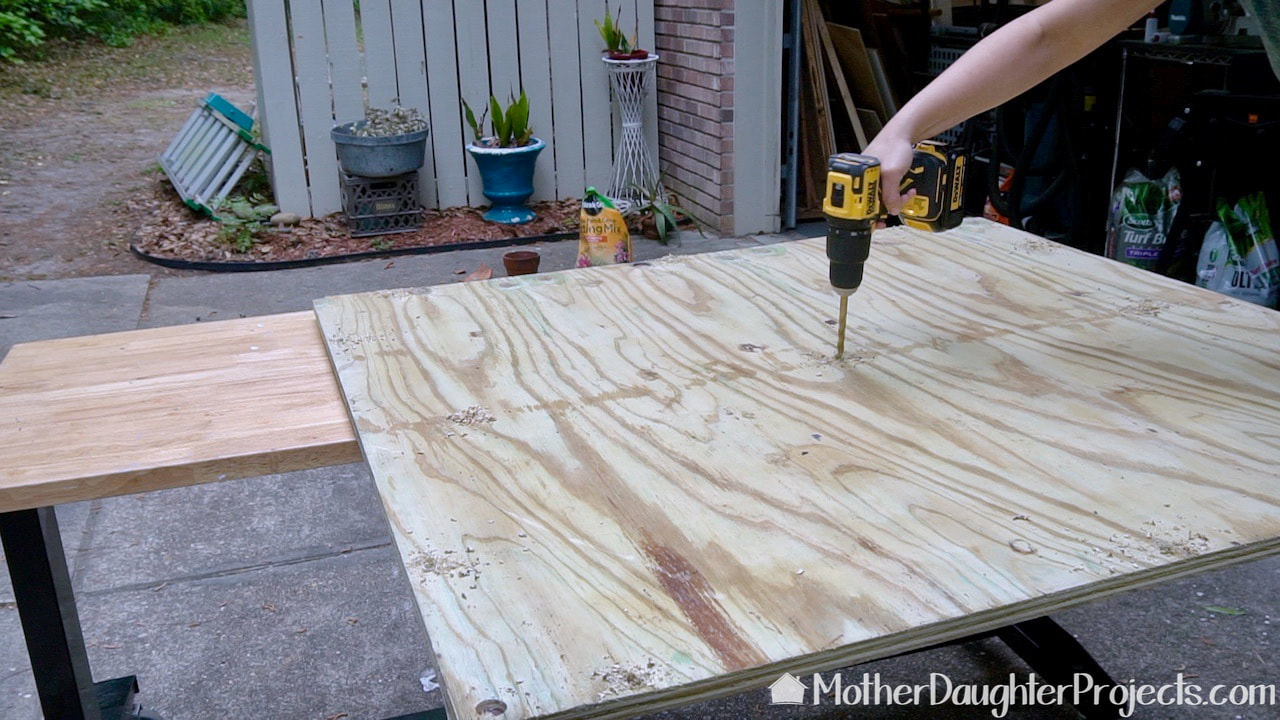 Steph used a battery powered DeWalt drill to make the holes for the bolts in the plywood.