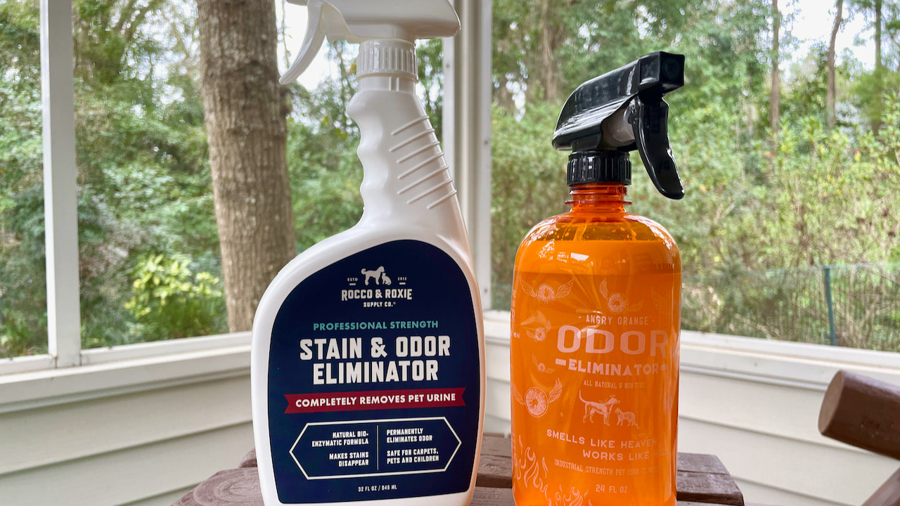 Steph tried Rocco and Roxie stain and odor eliminator as well as Angry Orange on the carpet.