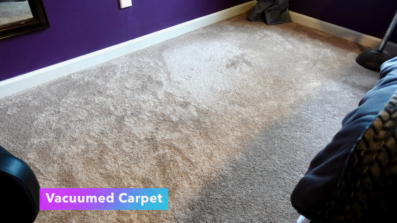 Before we used the UV light, Steph vacuumed the carpet.