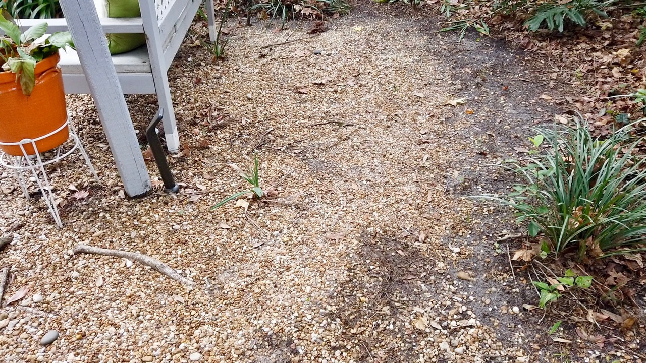 The DIY 30% vinegar weed killer was superior to the 5% solution. 